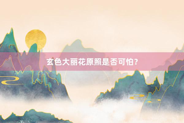 玄色大丽花原照是否可怕？