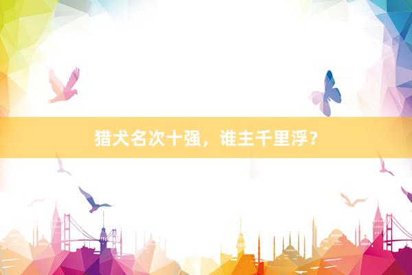猎犬名次十强，谁主千里浮？