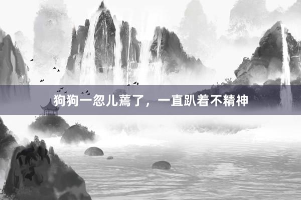狗狗一忽儿蔫了，一直趴着不精神