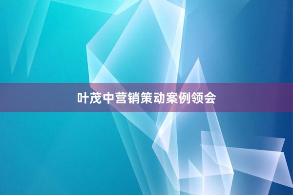 叶茂中营销策动案例领会